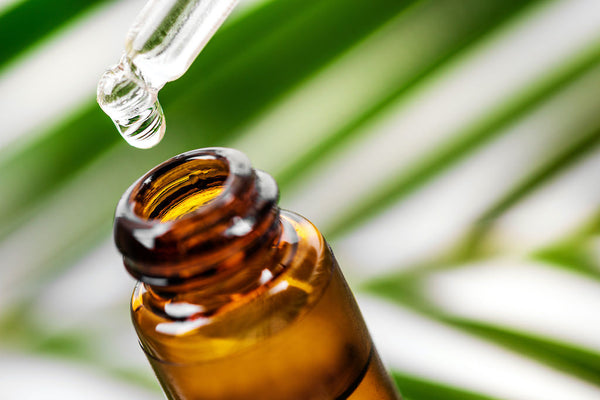 Tea Tree Oil Benefits for your Scalp